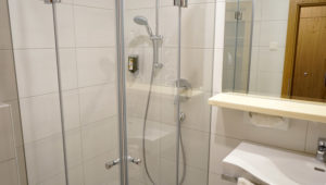 DZ Komfort Badezimmer Dusche